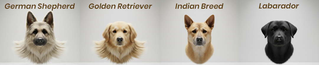 Breeds suitable for Delight dog food